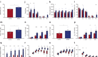 The metabokine β-aminoisobutyric acid mediates exercise performance and skeletal muscle adaptation through a PGC1α-BAIBA-PPARδ axis