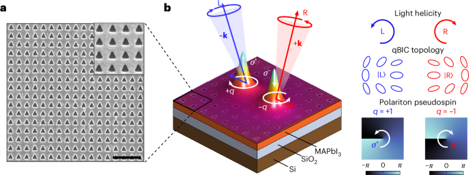 Topology-guided vortices in a polariton condensate