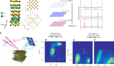 Time-domain identification of distinct mechanisms for competing charge density waves in a rare-earth tritelluride