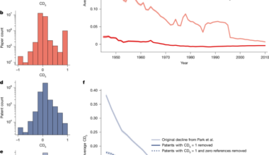 Dataset artefacts can partially drive the measured decline in disruption