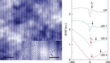Superconducting 2D cuprate with a single CuO2 plane