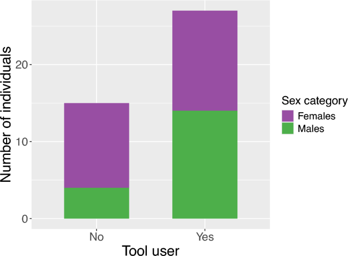 Network analysis highlights socio-demographic patterns of stone tool-using primates