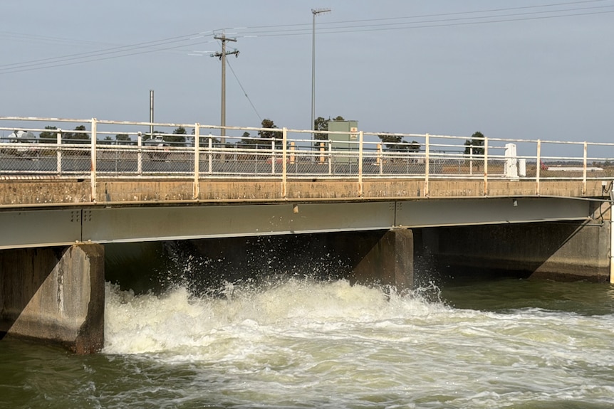 Water moving through the gates of an irrigation regulator