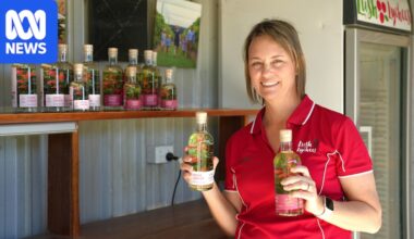 Central Queensland lychee growers diversify with alcohol range to reduce fruit wastage