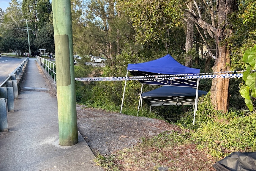 Police tape and gazebos down a bank beside a road.