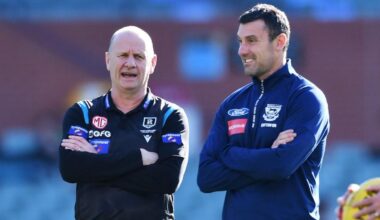 Tasmania Devils poach key Geelong figure Nigel Lappin as head of development in massive coup