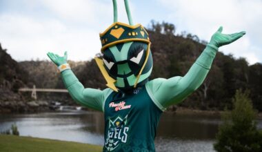 Tasmania Jewels WNBL team unveils Queenie the Queen Ant mascot