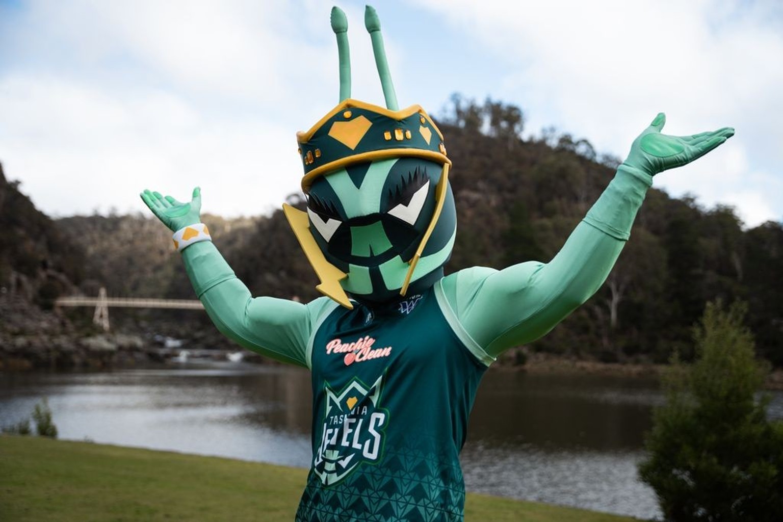 Tasmania Jewels WNBL team unveils Queenie the Queen Ant mascot