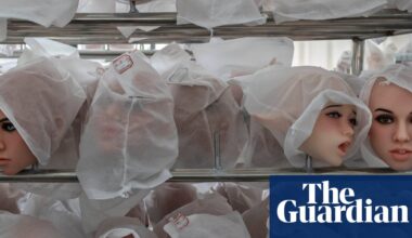 A ‘body’ found in a suitcase was actually a sex doll. How did NSW police get it so wrong? | Australian police and policing