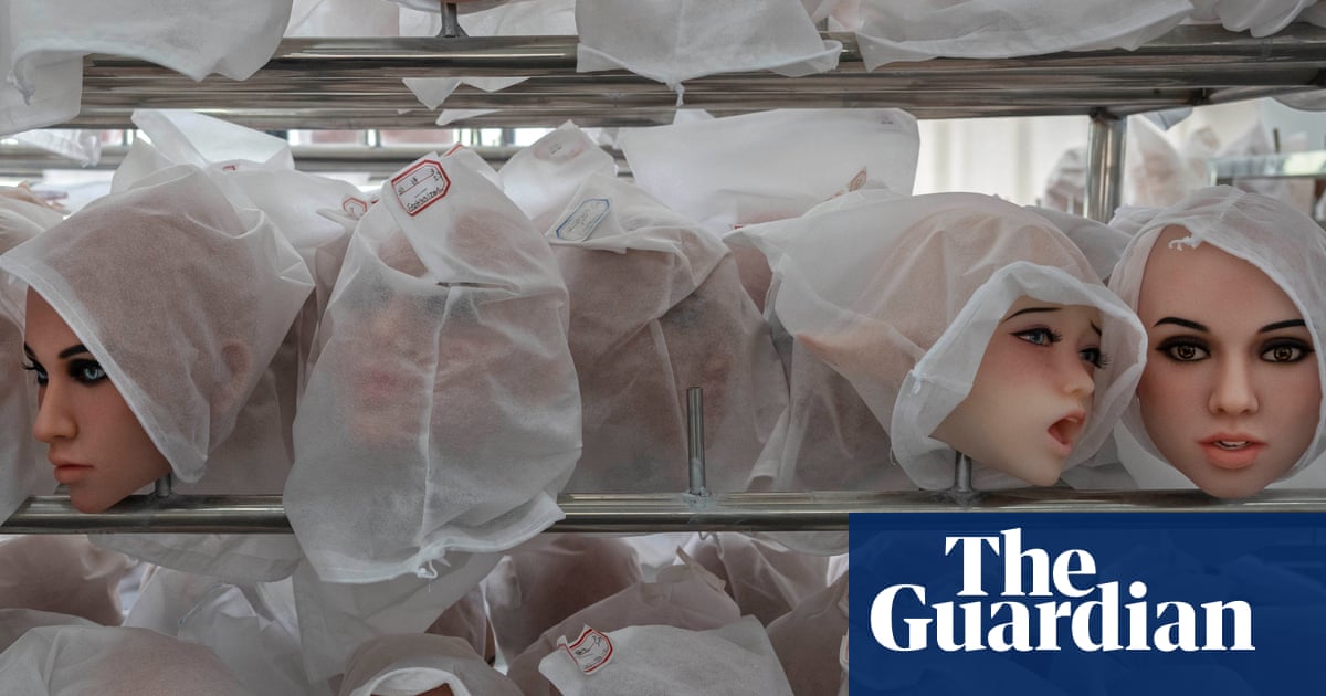 A ‘body’ found in a suitcase was actually a sex doll. How did NSW police get it so wrong? | Australian police and policing