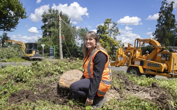 The process for the turf began in 2023, says Hamilton City Council parks and recreation unit director Maria Barrie.