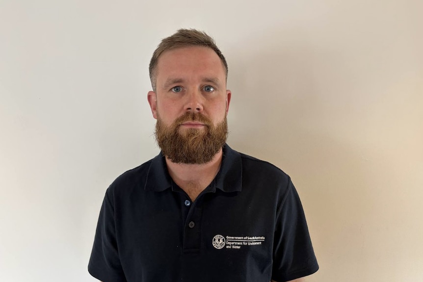 A bearded man with a polo shirt stands in front of a white wall.