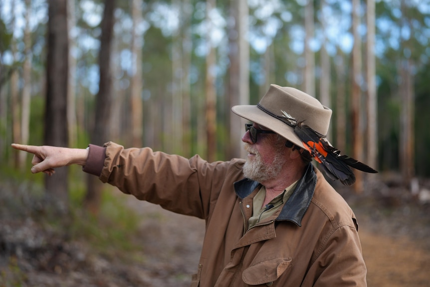A man stands in a forest and points