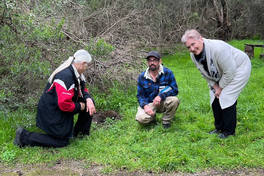 Three people in front of vegetation