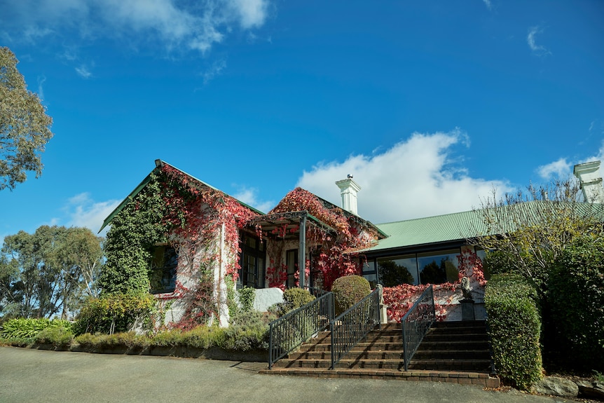 A building with red brick steps and red and green ivy vines growing over the facade surrounded by plants
