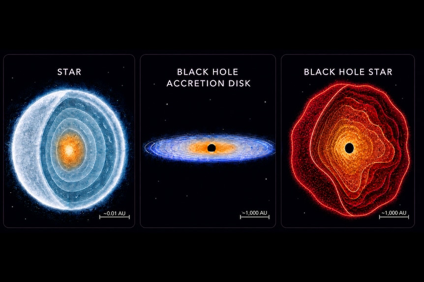 Three illustrations comparing a cross section of a star, a regular black hole and a black hole star.