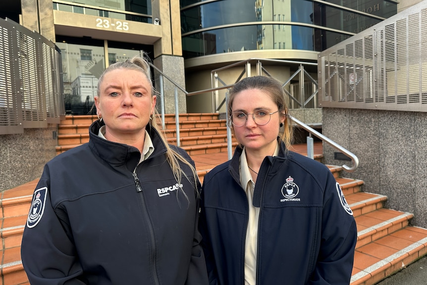 Two women in RSPCA uniforms standing outside a courthouse.
