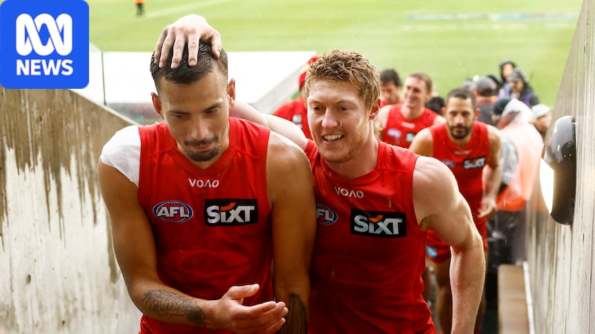 Gold Coast Suns fell in the AFL this season but offered a glimpse to 2027