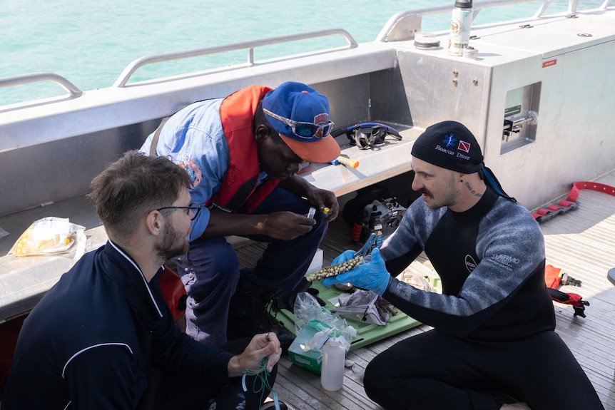 An Indigenous ranger speaking with two researchers, one is dressed in diving gear, as they sit in a boat.