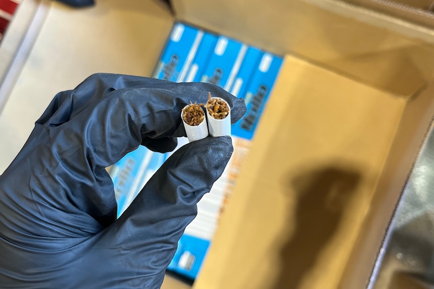 Australian Border Force seize illegal cigarettes in Northern Territory