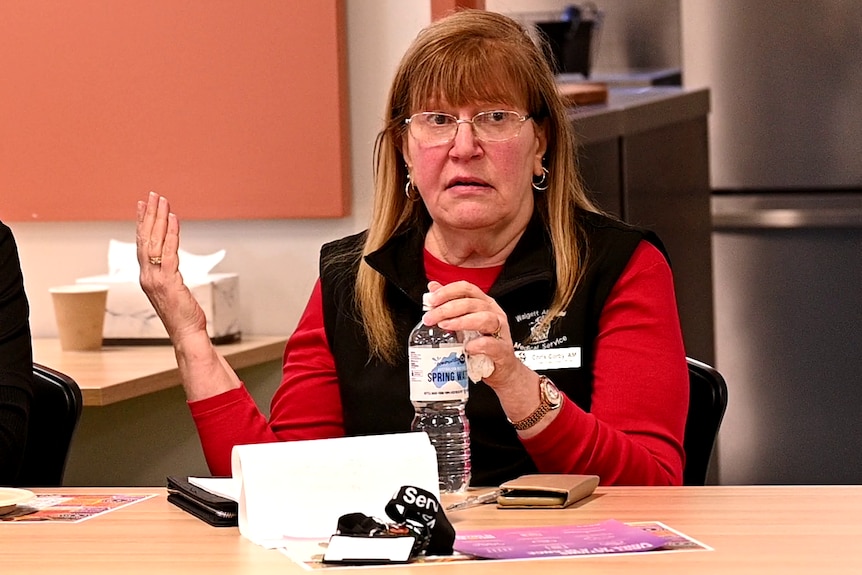 A woman speaking to a panel, she looks concerned and is gesturing with her hands as she talks.
