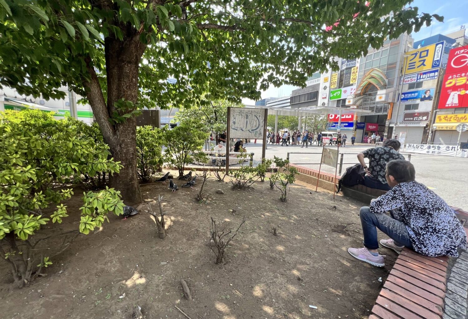 As Japan’s concrete jungles sizzle, urban forestry offers an all-natural fix