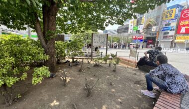 As Japan’s concrete jungles sizzle, urban forestry offers an all-natural fix