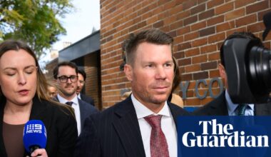 Cricket great David Warner decries ‘media onslaught’ after drink-driving conviction | Australia cricket team