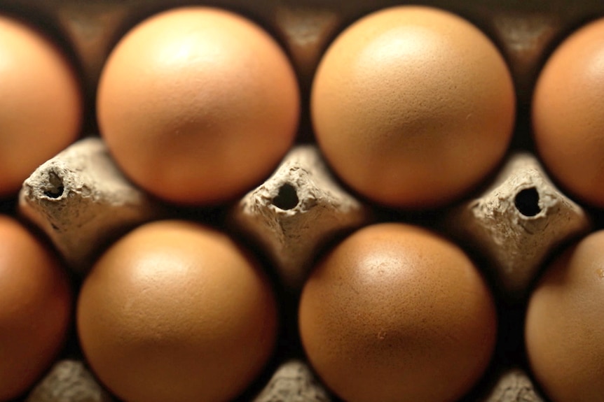A carton of eggs, photographed from above, in a close-up shot.