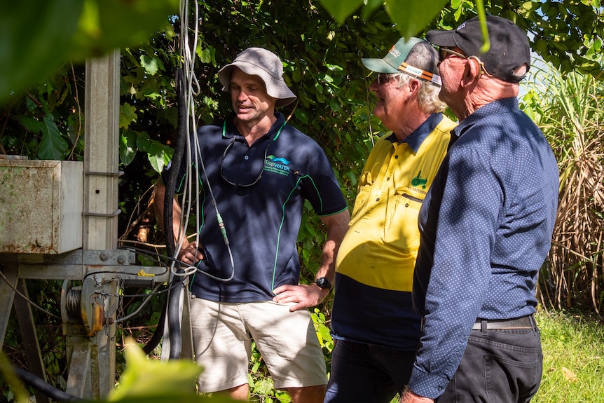 Three man stand around a water monitoring station in a cane field.