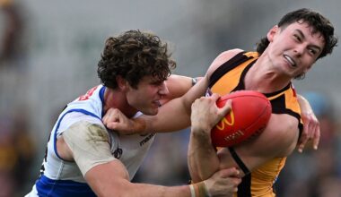 AFL R21 match report: Plucky Roos pipped by Hawks