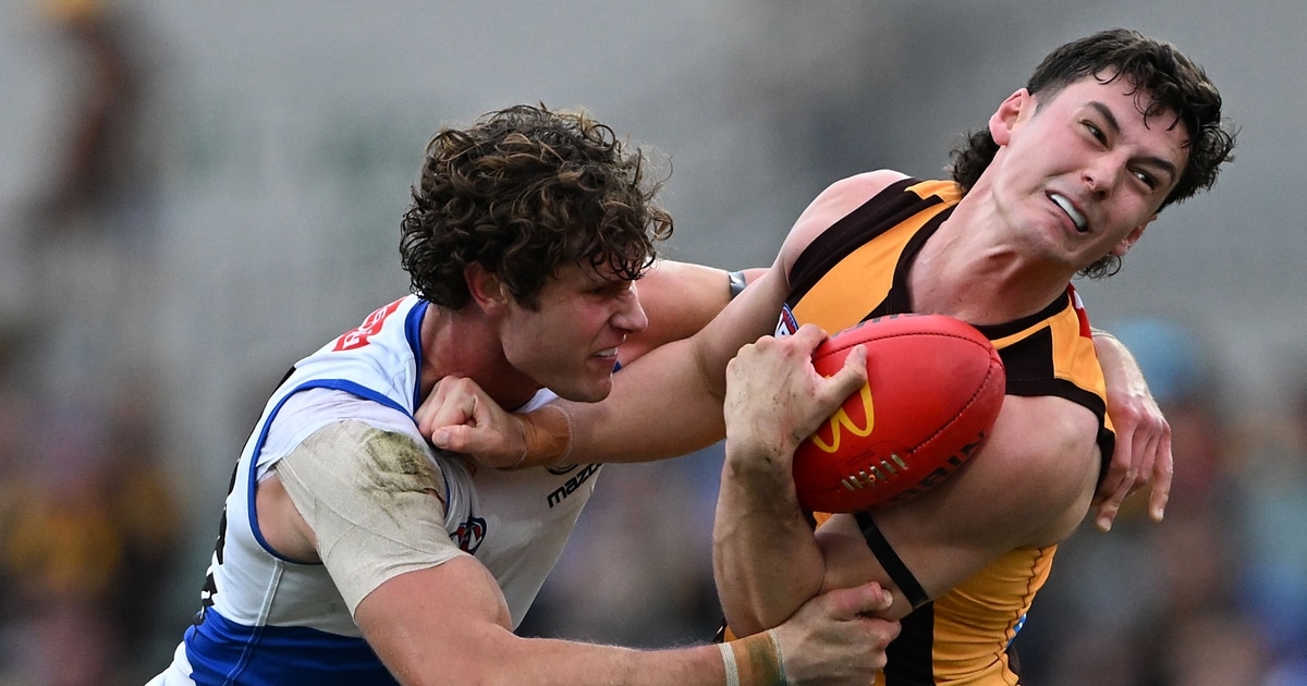 AFL R21 match report: Plucky Roos pipped by Hawks