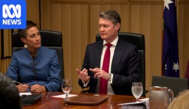 Ben Carroll adds artificial intelligence ministry to Victorian cabinet, dumps transport infrastructure