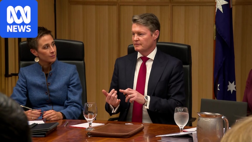 Ben Carroll adds artificial intelligence ministry to Victorian cabinet, dumps transport infrastructure