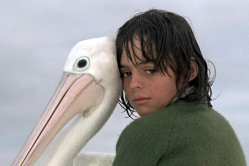 Storm Boy and Mr Percival