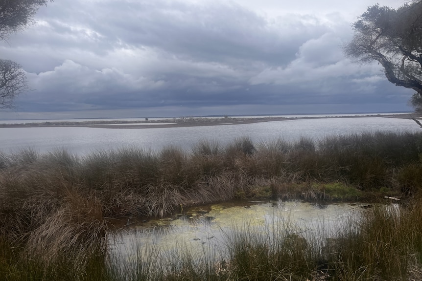 An estuary is pictured under a gloomy sky