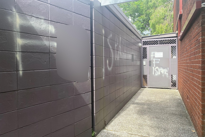 Cars with graffiti and words sprayed on them