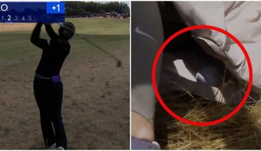 Women’s British Open 2026: Lydia Ko hits ball into spectator’s coat, Yealimi Noh takes three-shot lead into final round, latest news, highlights