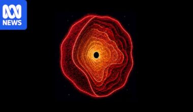 Astronomers discover new type of cosmic object, 'black hole star'