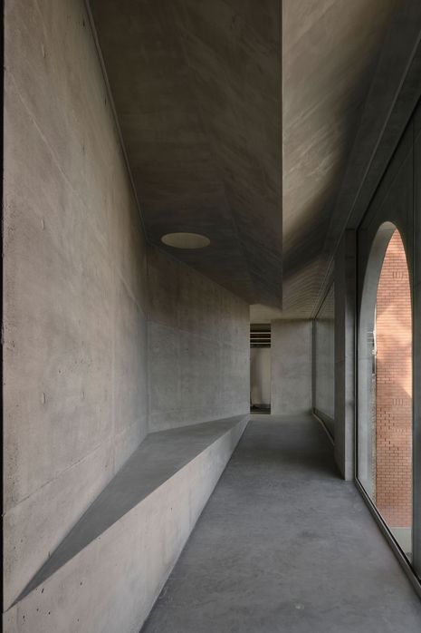 Gallery for a Tree by Farrell Wray