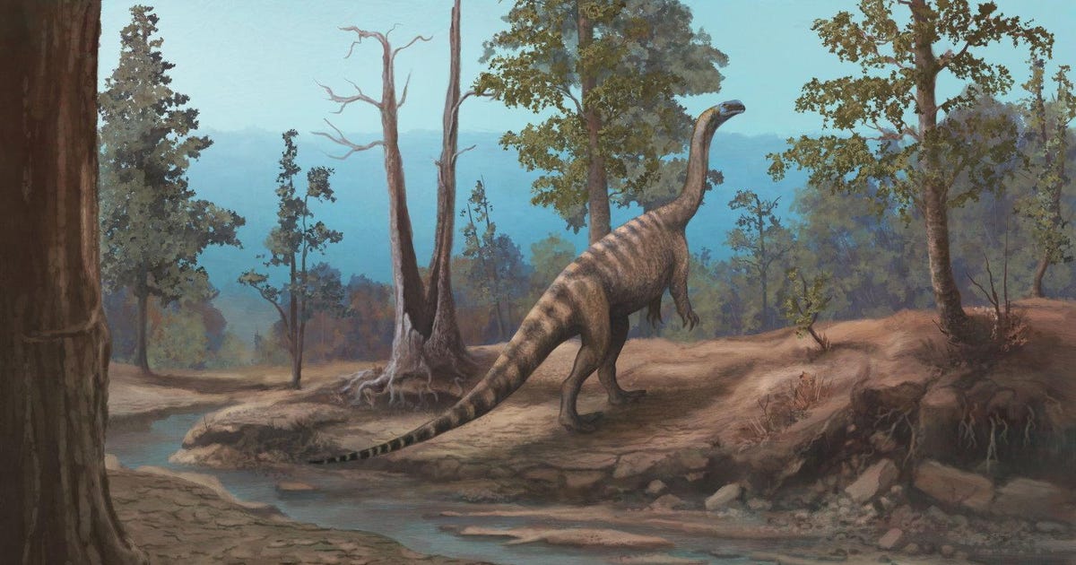 New Dinosaur Discovery in Zimbabwe: Mini-sauropod That May Have Been Bipedal