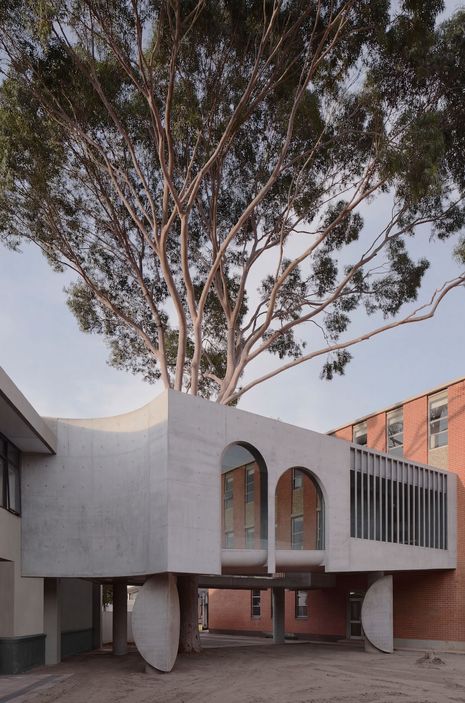 Gallery for a Tree by Farrell Wray