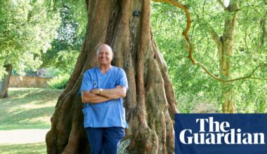 Experience: I brought a bear back to life | Life and style