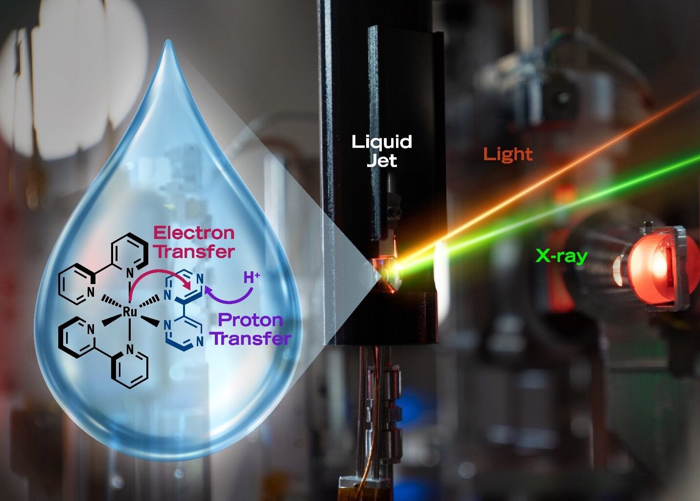 Scientists Capture First Molecular-Level Images of Water Reorganization During a Reaction Crucial for Life
