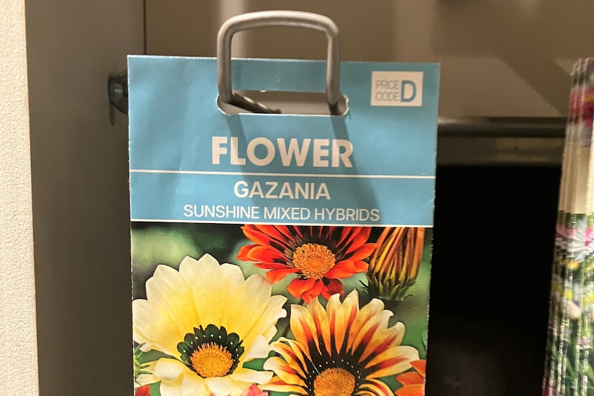 Packet of gazania seeds on a retail hook.