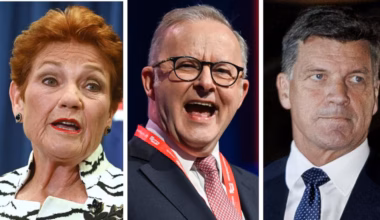 New polling reveals who would win a federal election right now