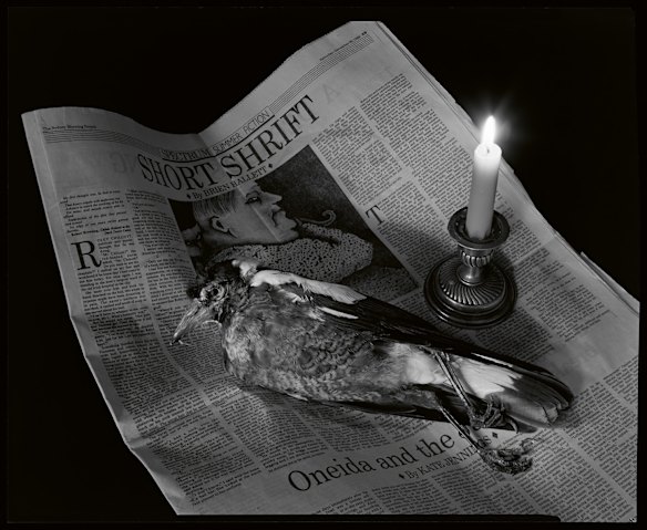 Definitive Dupain. A major retrospective exhibition at the State Library of NSW includes this image by Max Dupain, Death by candlelight, 1990.  The magpie is lying across a page from The Sydney Morning Herald titled Short Shrift.  Dupain died in 1992. 