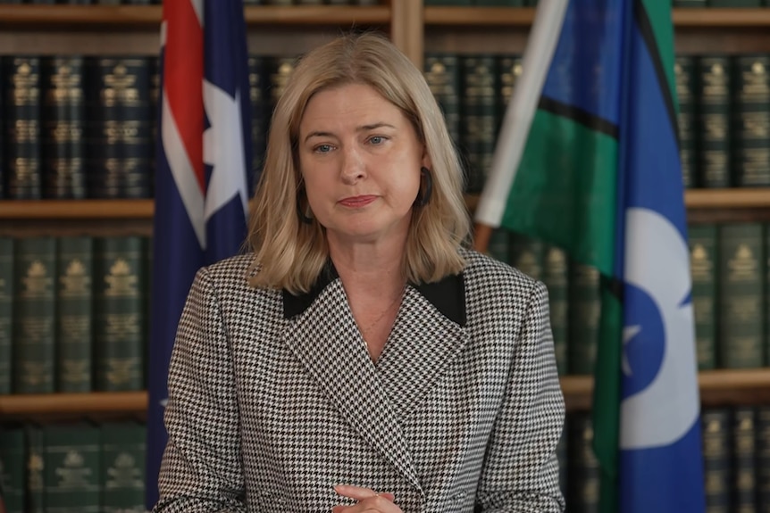 Julie Collins stands in front of a wall of bookshelves and the Australian and Torres Strait Islander flags.