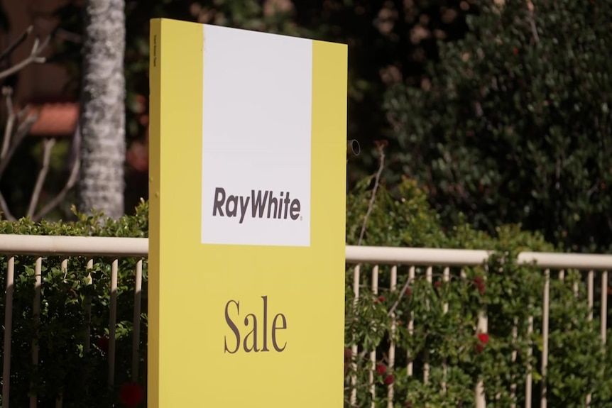 For sale sign yellow Ray White near fence