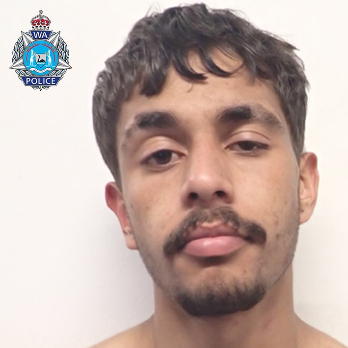A mugshot of a man who has mustache. 